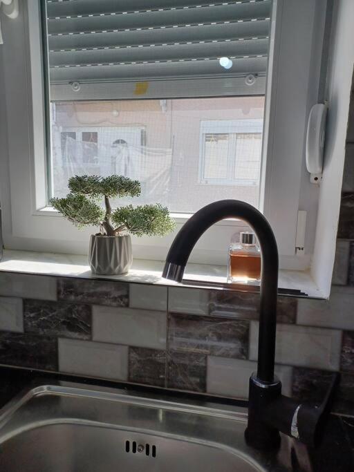Petite Suite With Backyard. Mytilene Ngoại thất bức ảnh